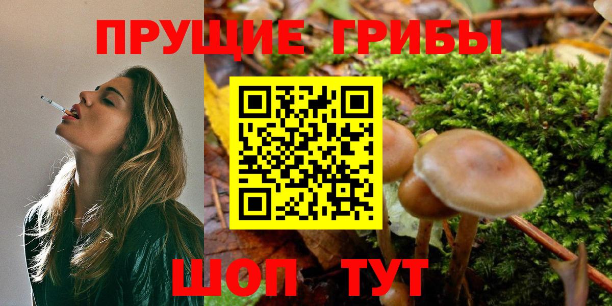 Галлюциногенные грибы GOLDEN TEACHER  Вход с VPN  Зеленодольск 